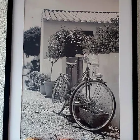 Evasion Marine - Front De - 1 Ligne * Le Barcarès